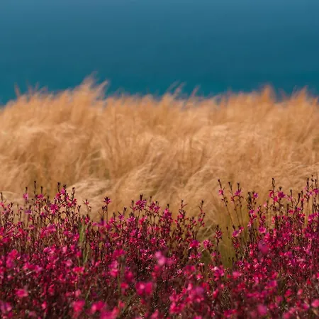 Mega Mansions Mykonos *