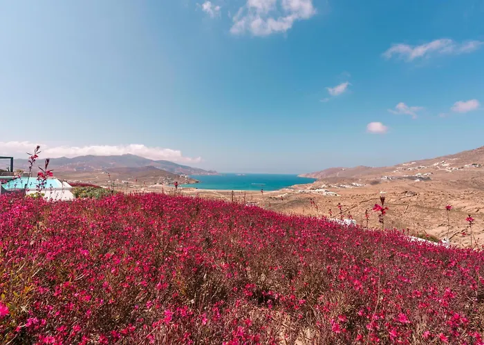 Mega Mansions Mykonos Vila