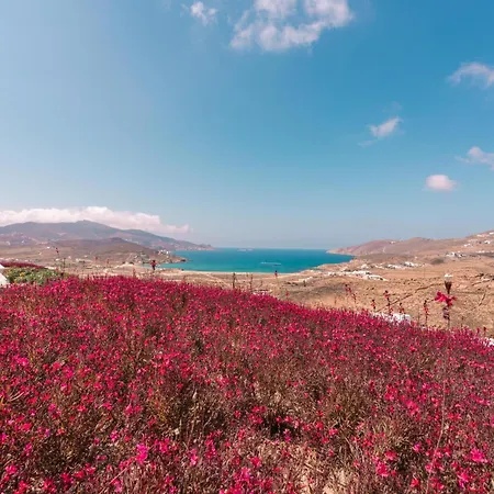 Mega Mansions Mykonos Вилла