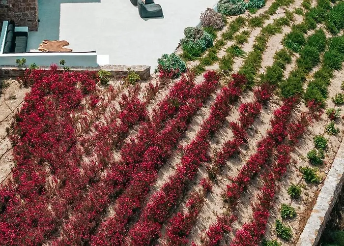 Willa Mega Mansions Mykonos