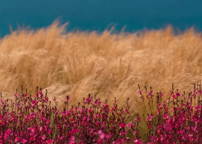 Mega Mansions Mykonos *